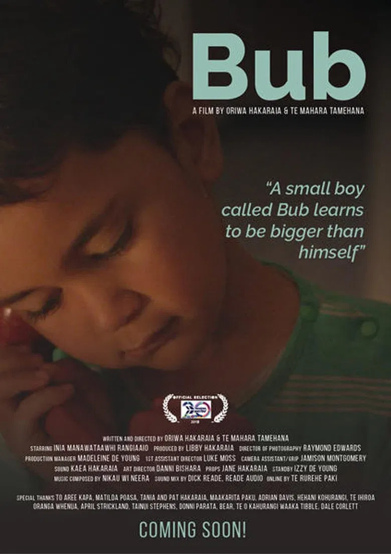 Bub poster background