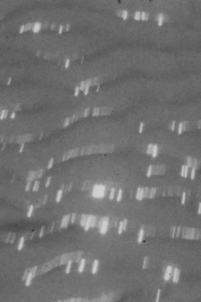 Lands Of The Sea poster background