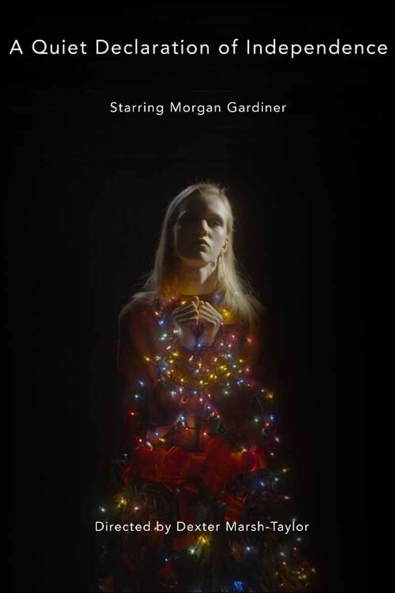 A Quiet Declaration of Independence poster background