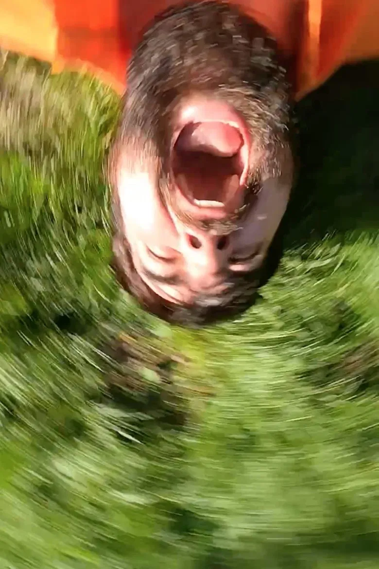 As I Was Moving Ahead Occasionally I Saw Brief Glimpses of Mayhem poster background