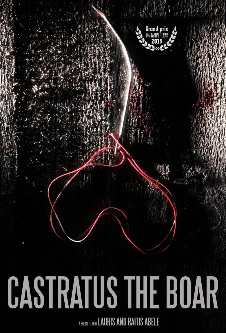 Castratus the Boar poster background