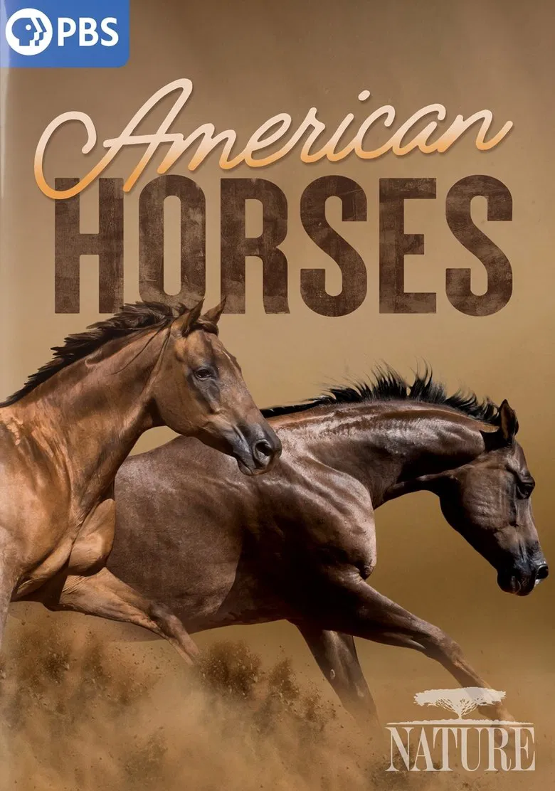 American Horses poster background