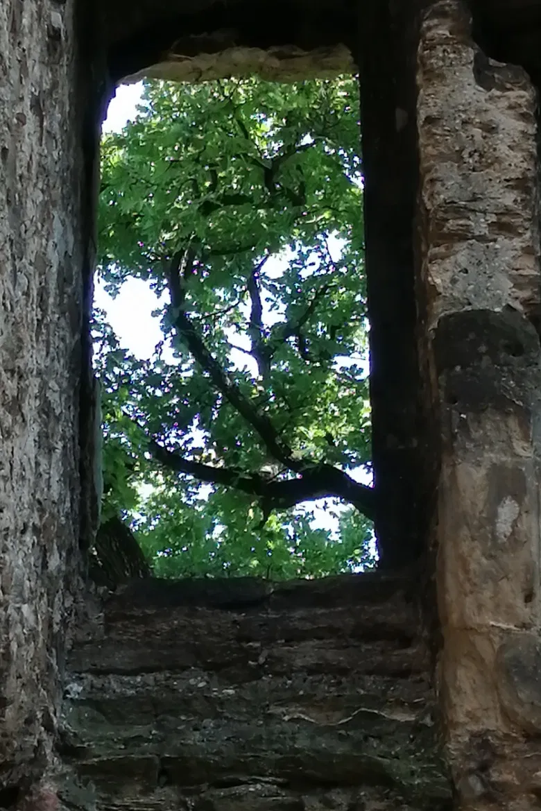 The Ruins of Seyssuel's Castle poster background