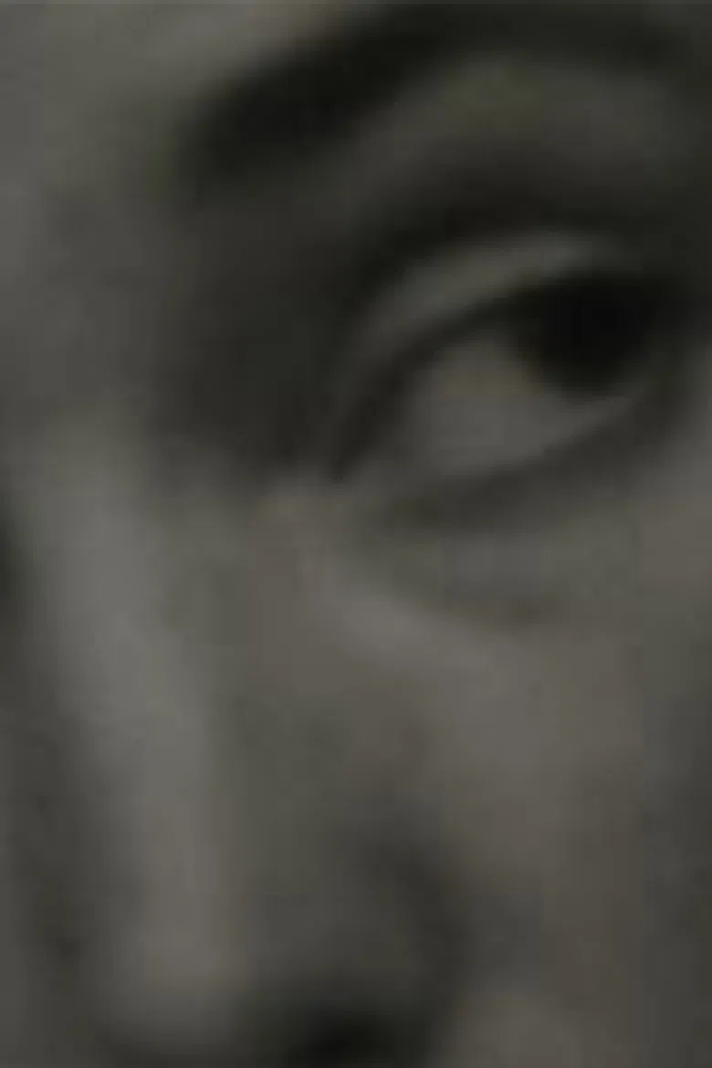 Whistling Flocks poster background