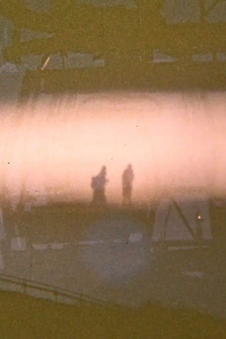 Signify poster background