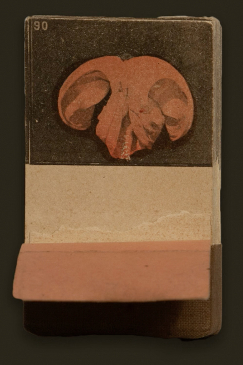 A Serpentine Dance poster background