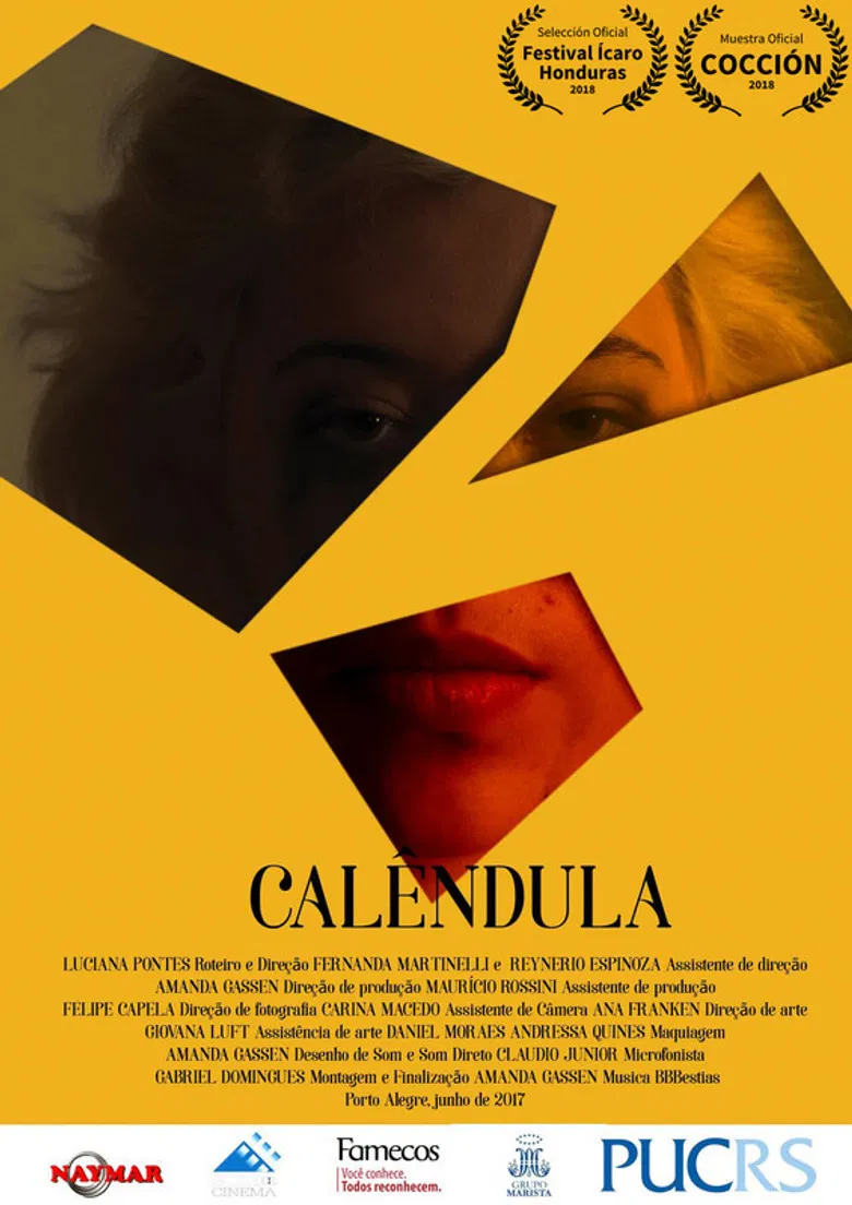 Calêndula poster background