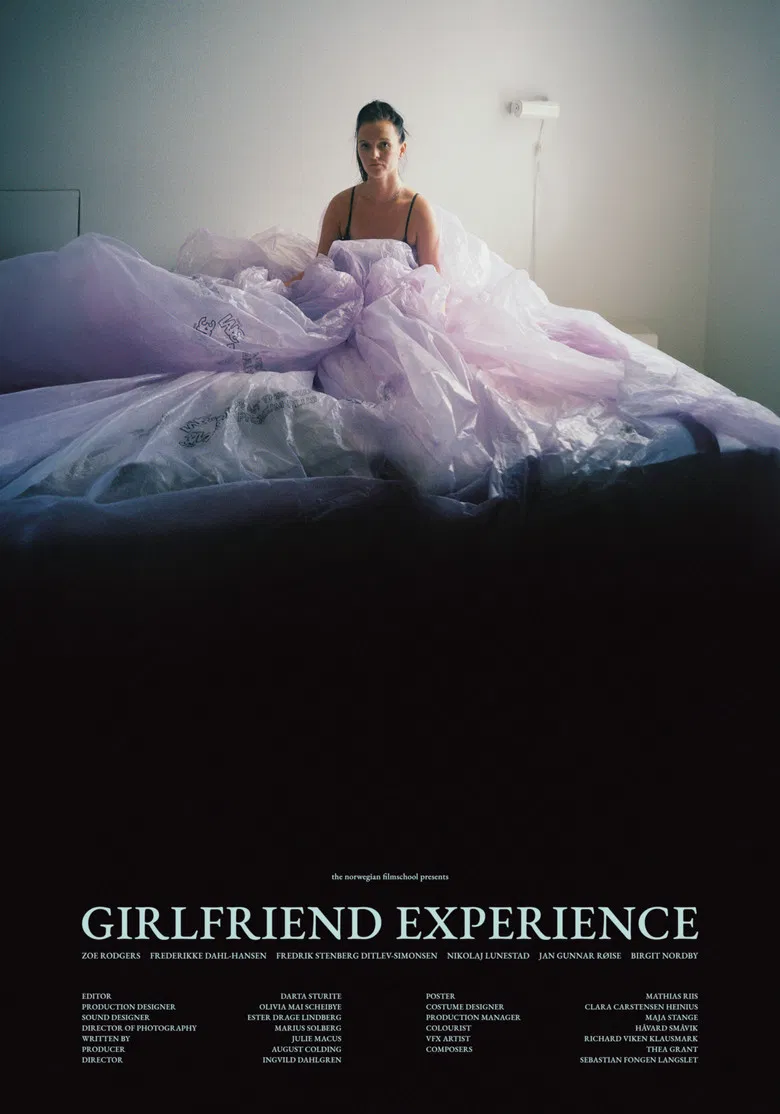 Girlfriend Experience poster background