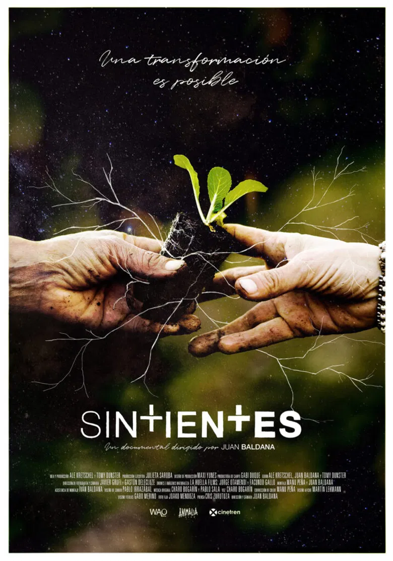 Sintientes poster background