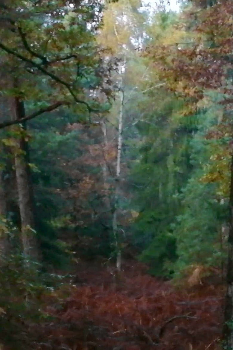 Mes indésirables poster background