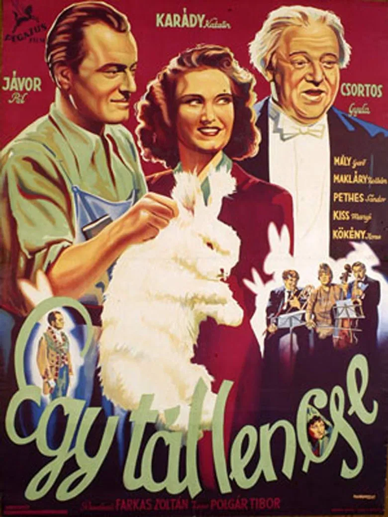 A Bowl of Lentils poster background