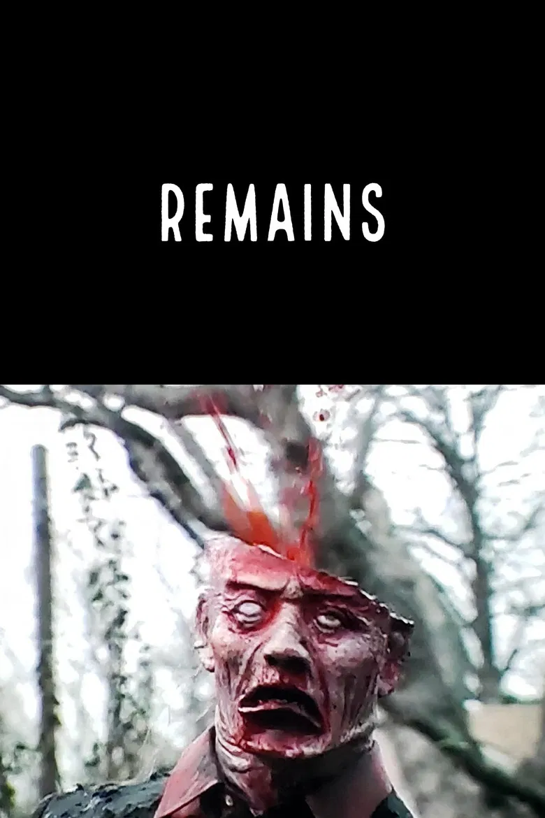Remains poster background