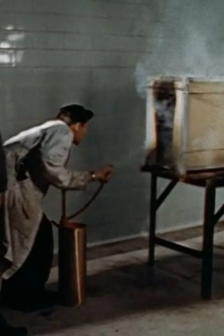 Setting Fires for Science poster background