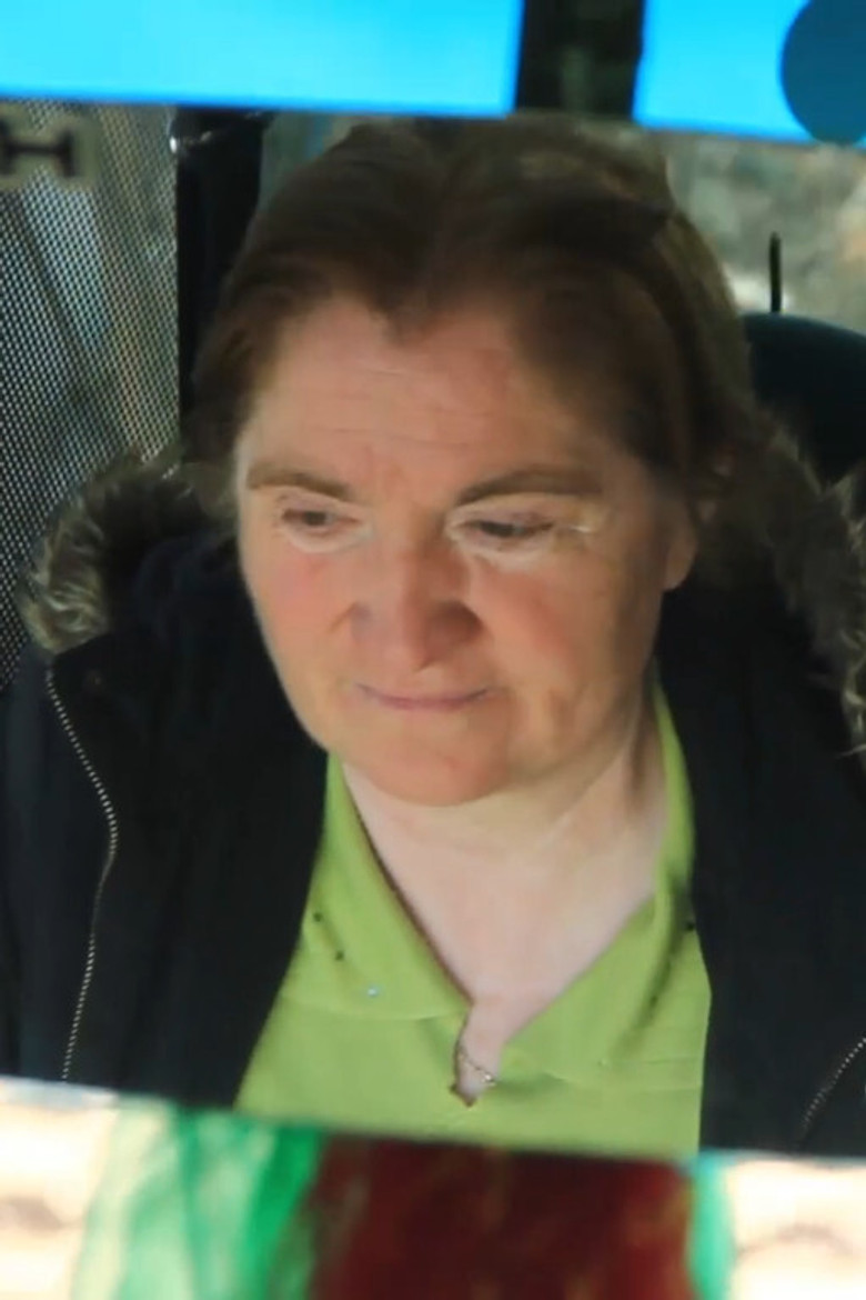 Driver İsmigül poster background