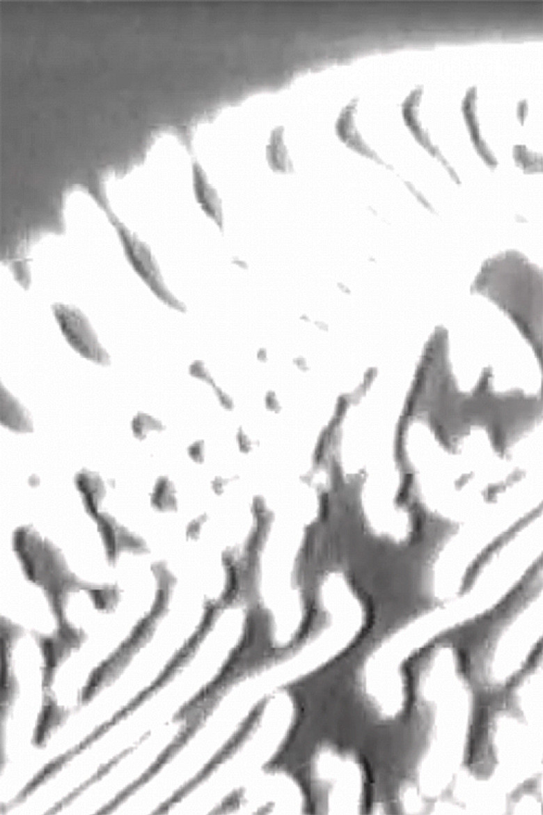 Réaction 26 poster background