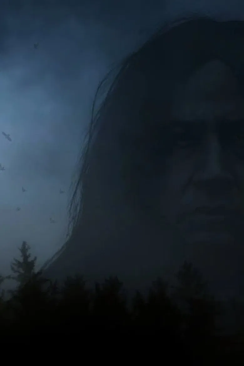 Settler poster background