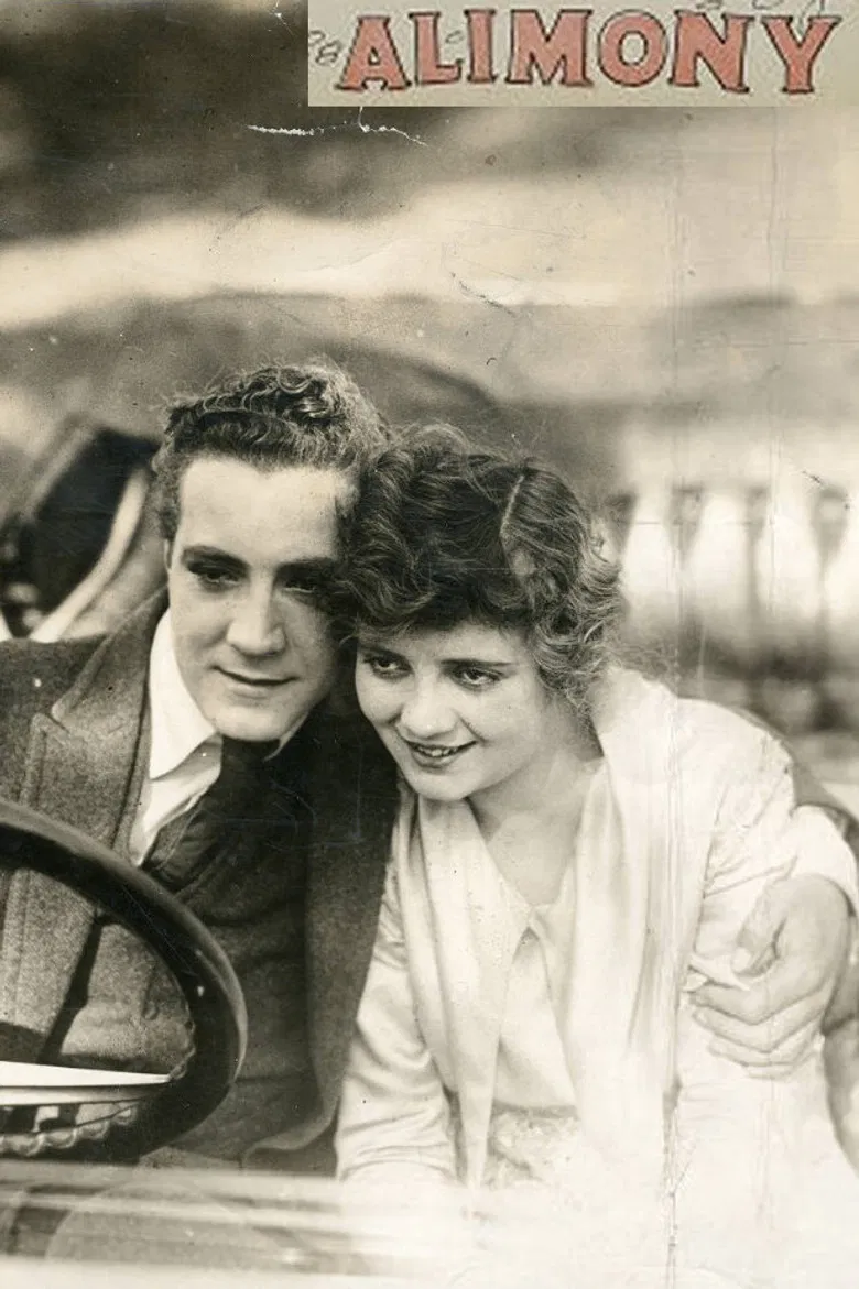 Alimony poster background