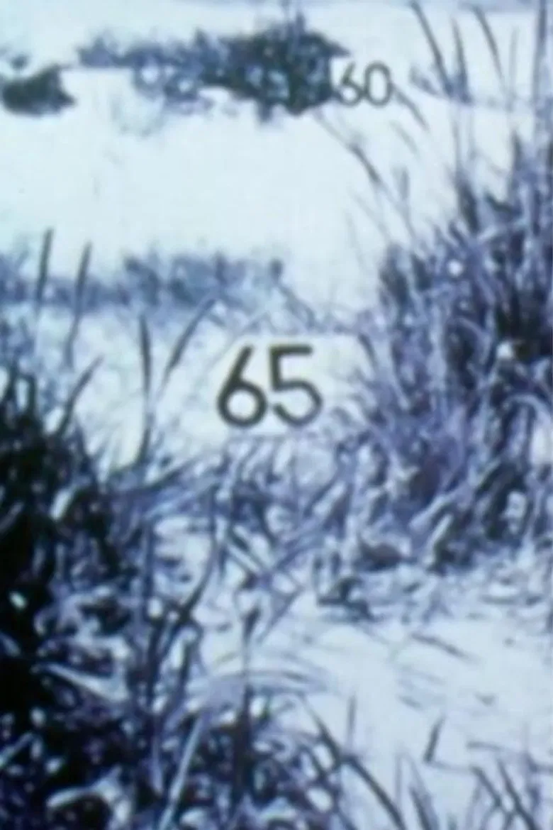 Étude transectale de la plage poster background