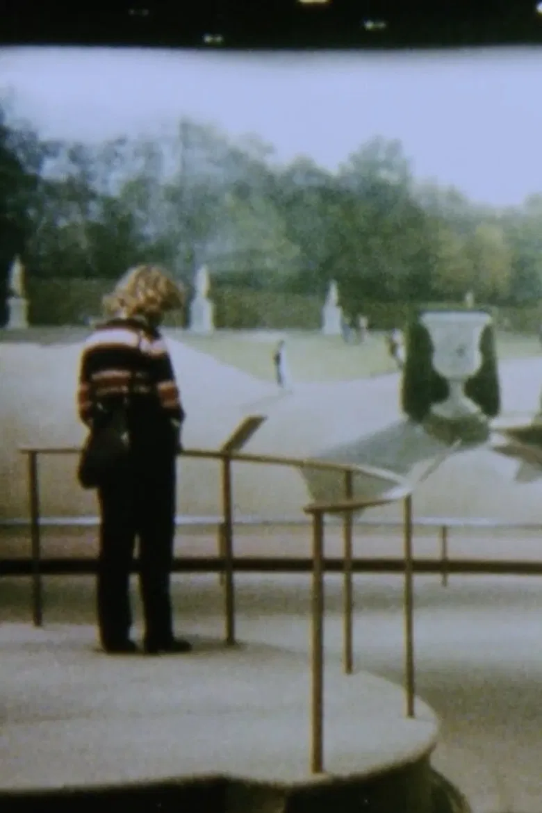 The Odyssey of Panoramas poster background