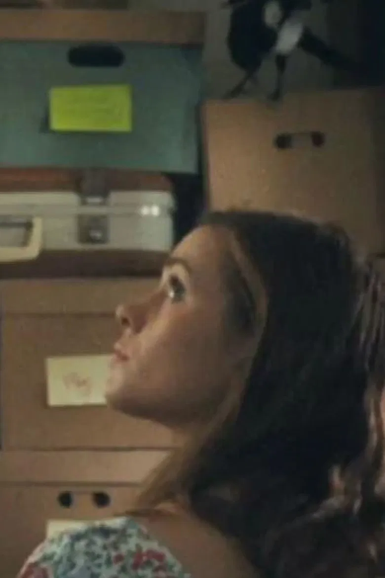 Magpie poster background