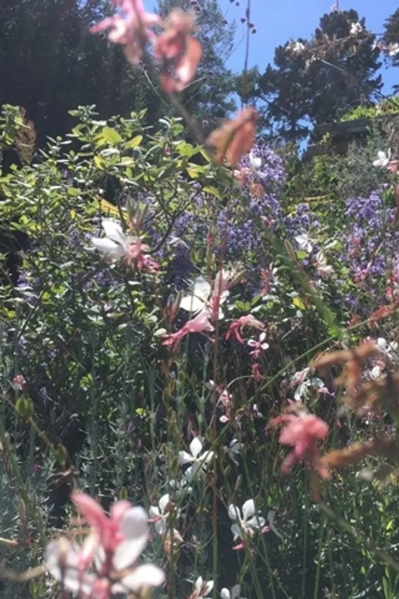 Interlude poster background