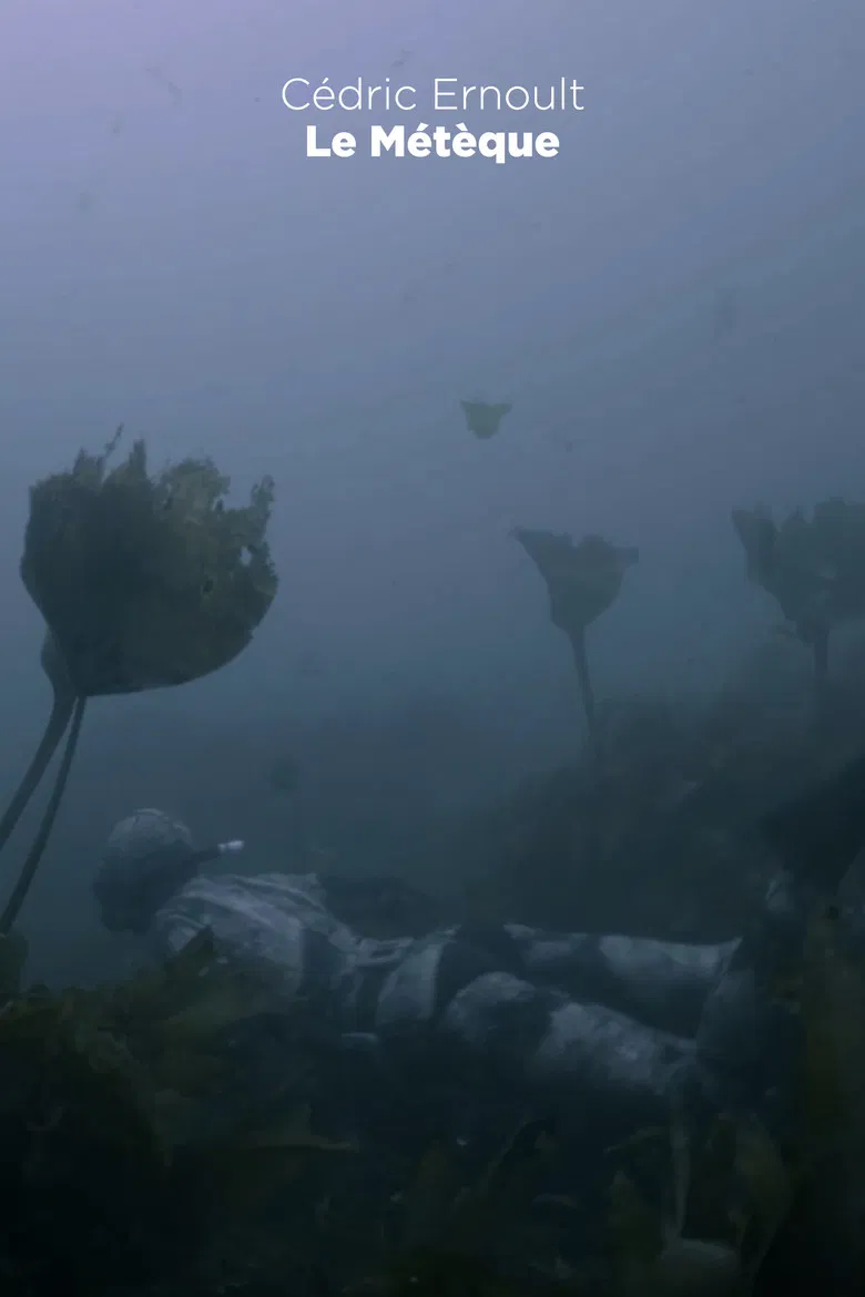 Le Métèque poster background