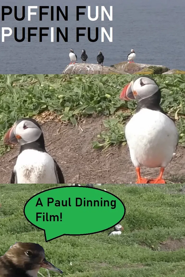 Puffin Fun poster background
