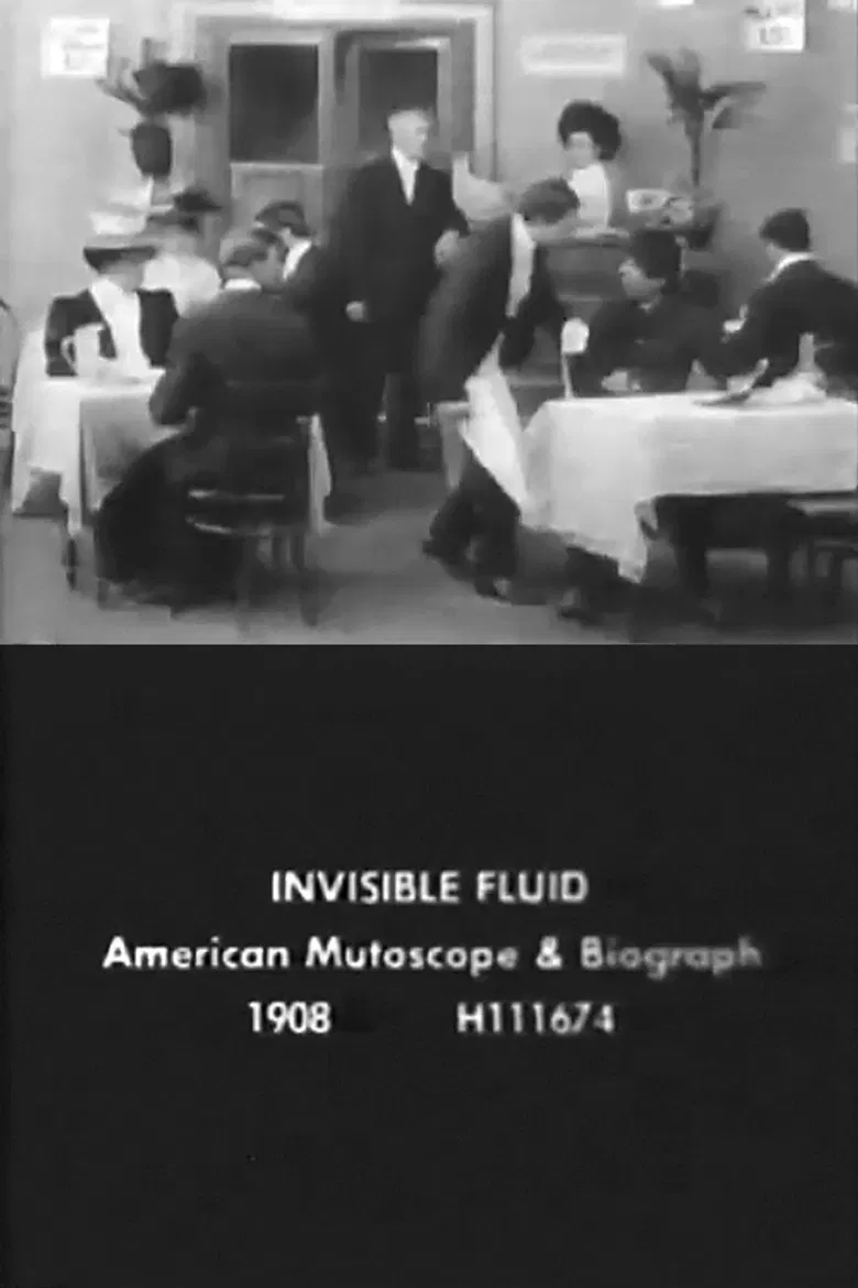 The Invisible Fluid poster background