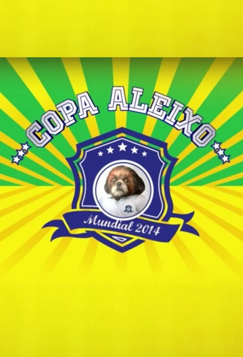 Copa Aleixo 2014 poster background