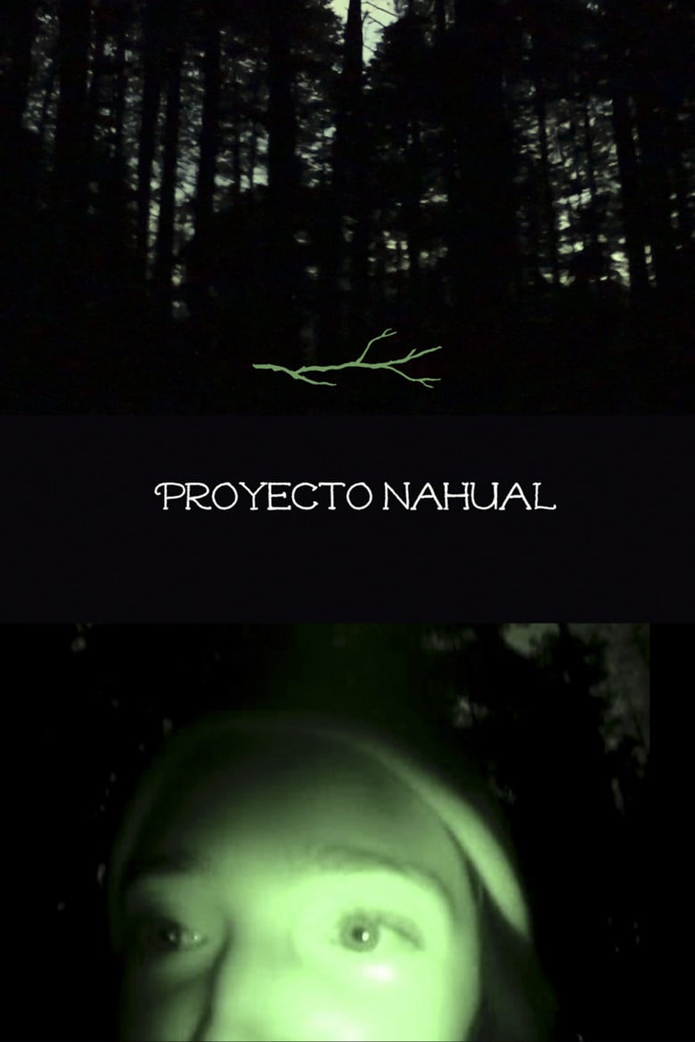 Nahual Project poster background
