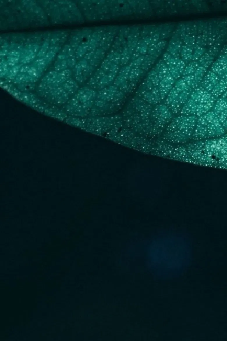 Y/changes? poster background