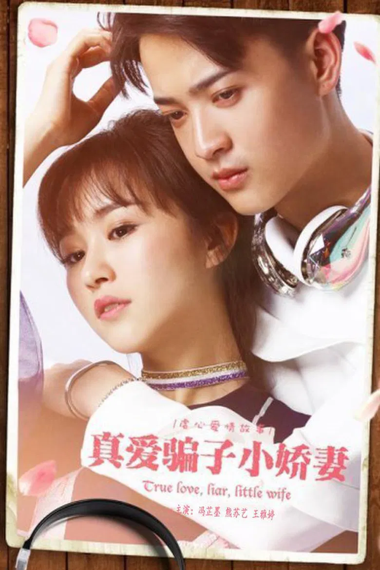 真爱骗子小娇妻 poster background