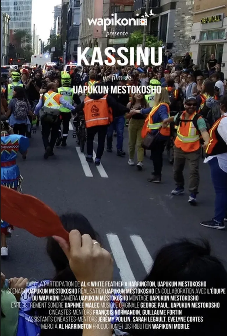 Kassinu poster background