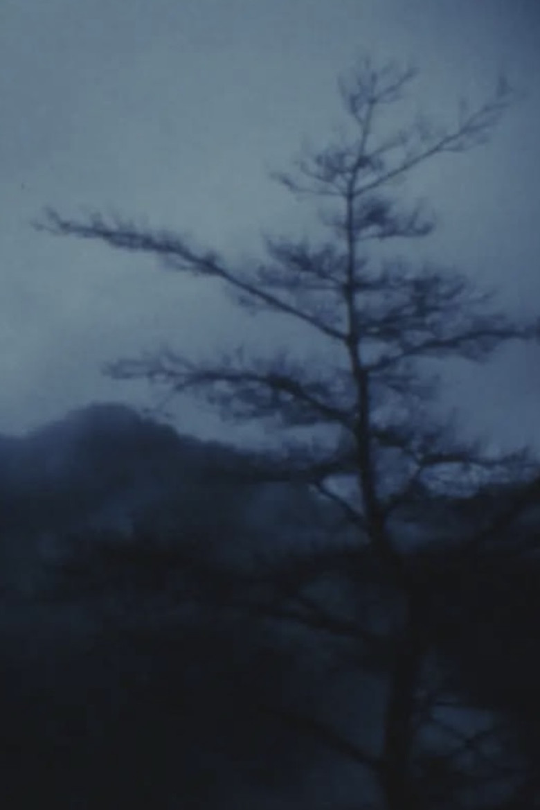 MAYA poster background