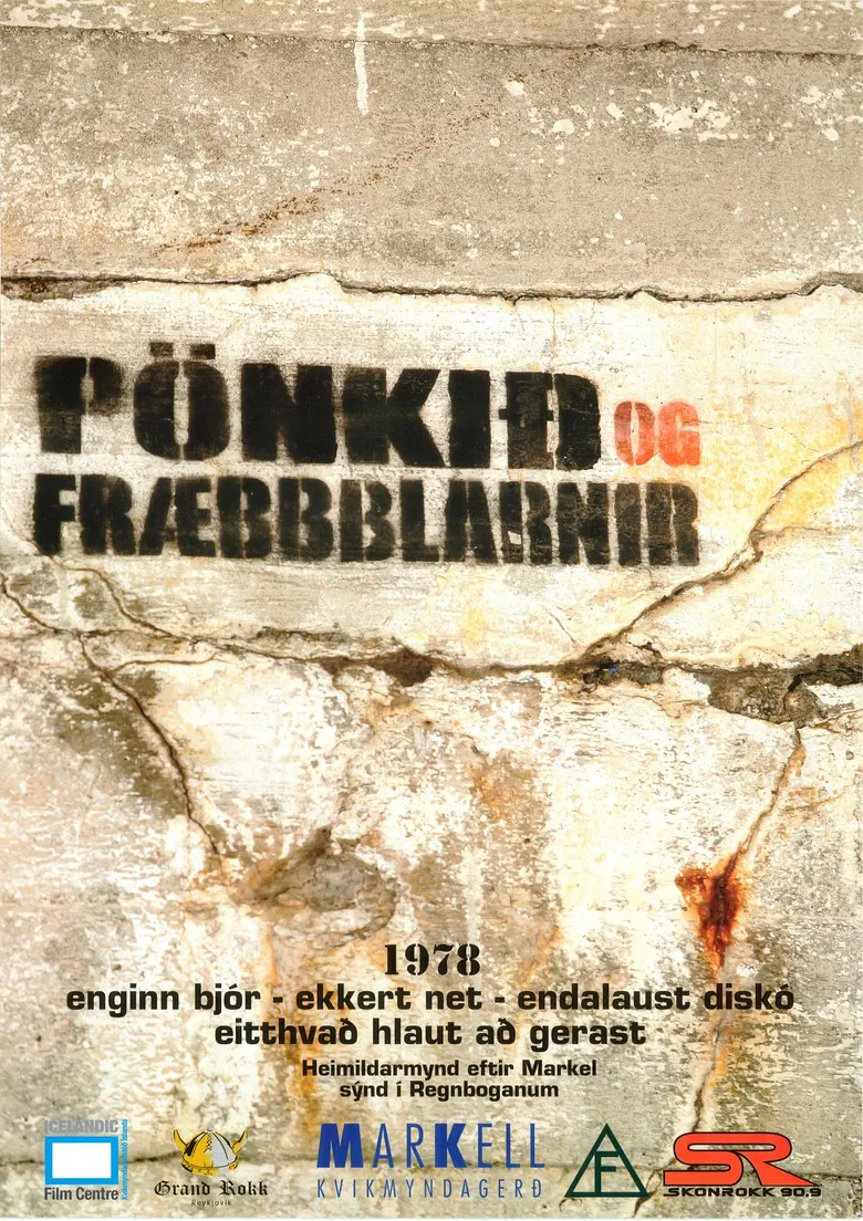 Punk in Iceland poster background