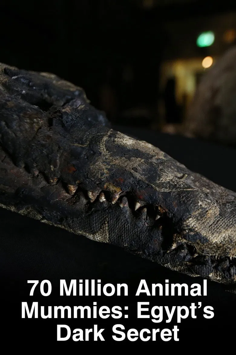 70 Million Animal Mummies: Egypt's Dark Secret poster background