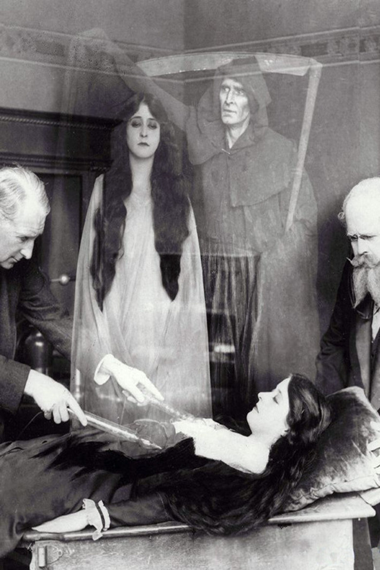 Lola poster background