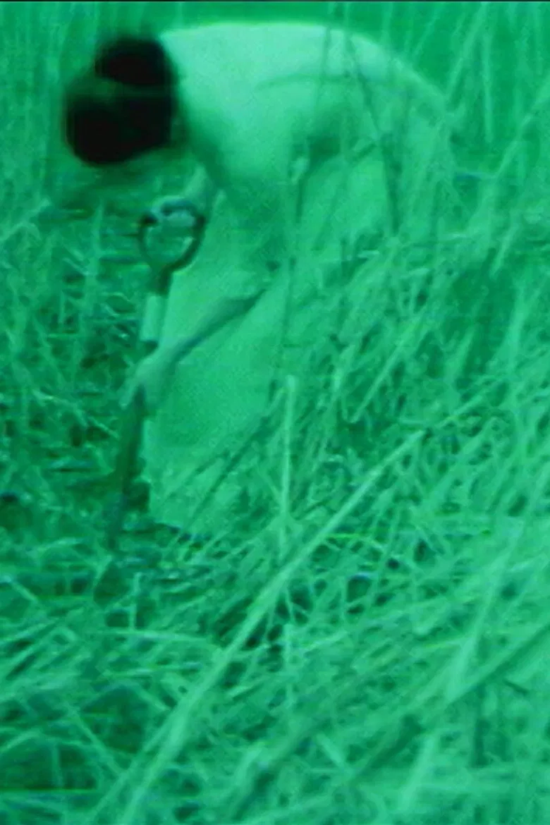 Dear God Please Save Me poster background