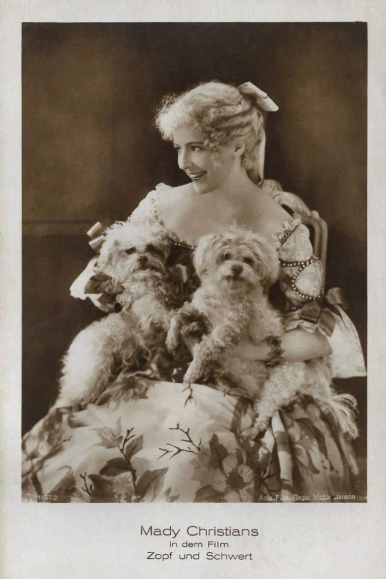 Zopf und Schwert poster background