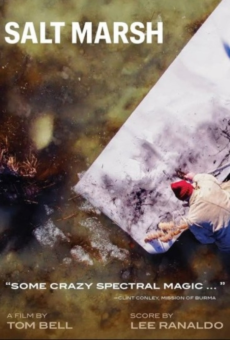 Salt Marsh poster background