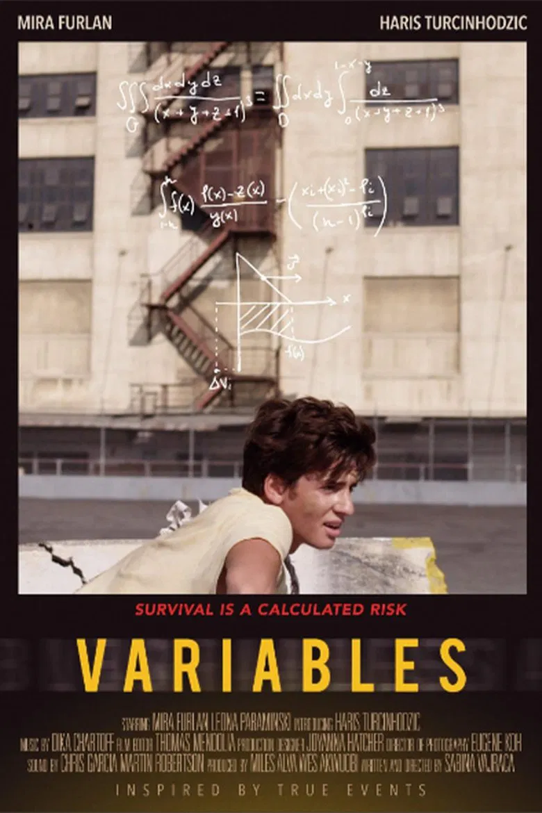 Variables poster background