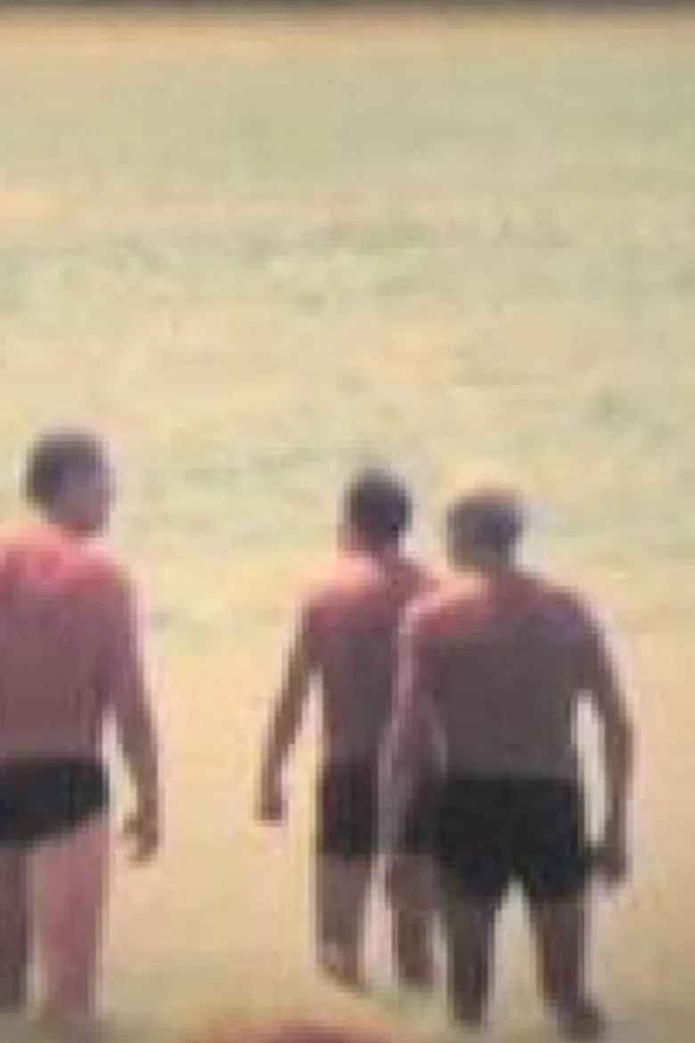 Tarde de verano poster background