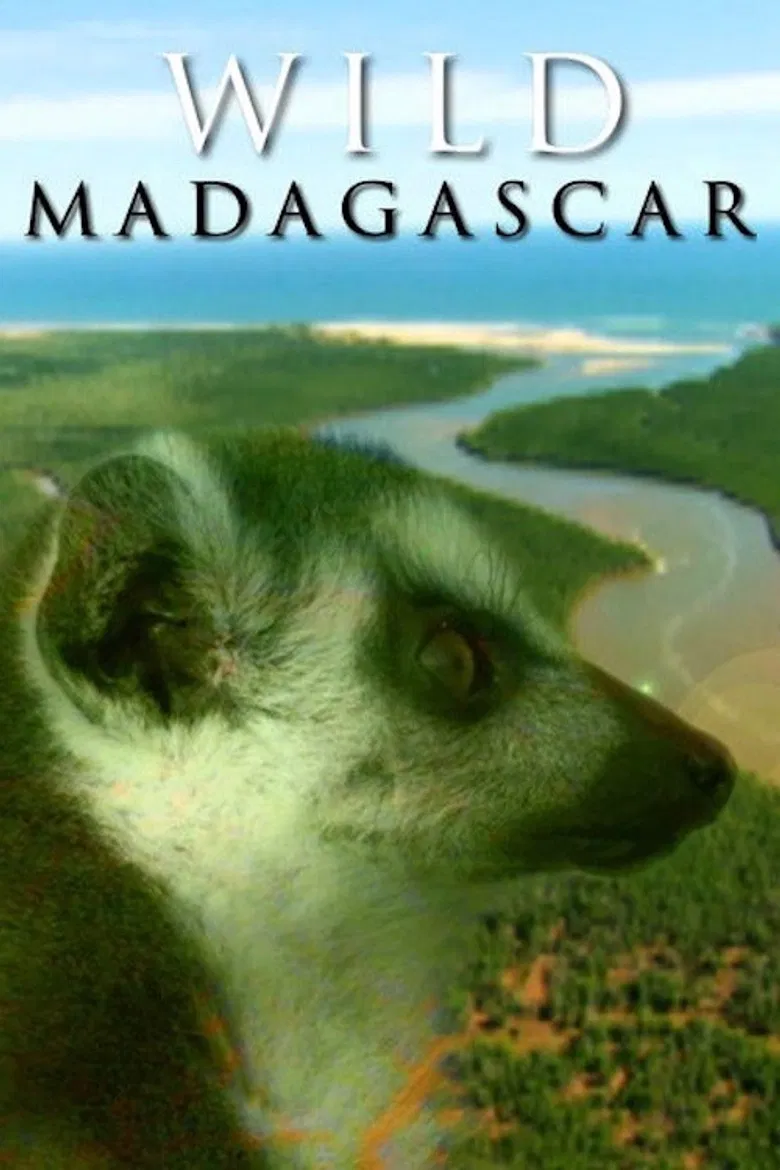 Wild Madagascar poster background