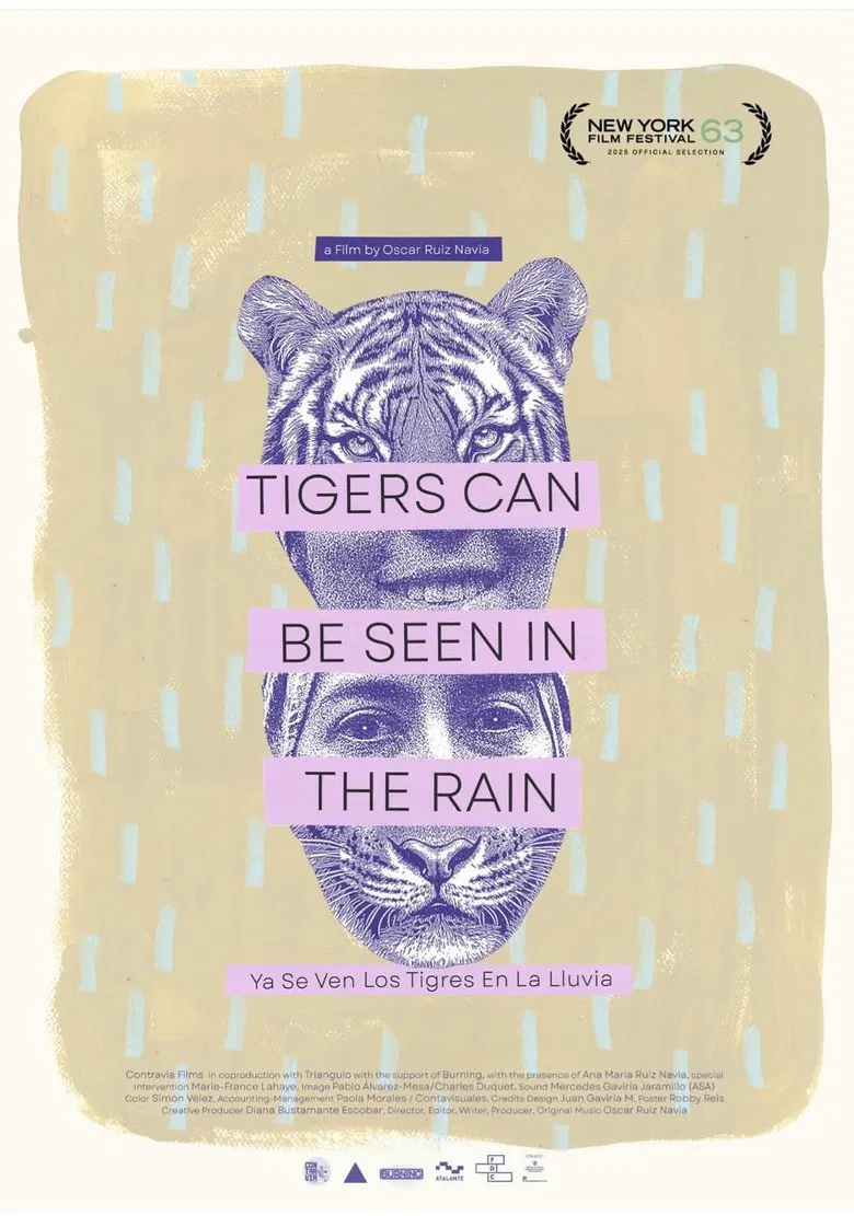 Tigers Can Be Seen In The Rain poster background