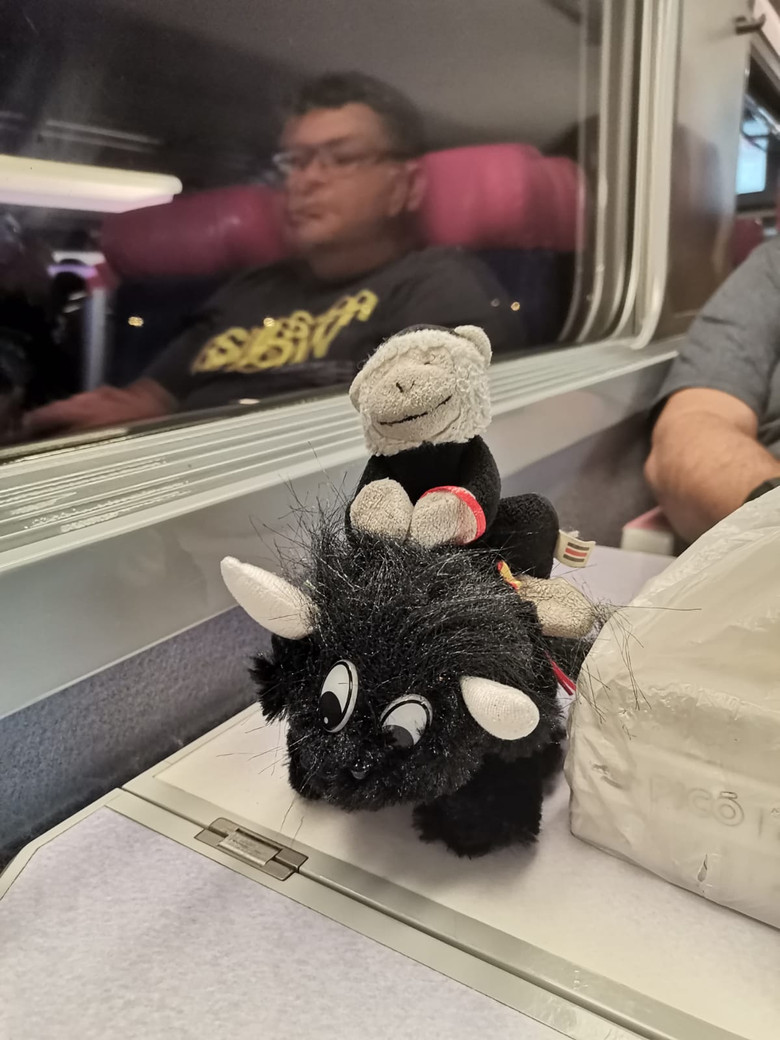 El monito se fue de viaje poster background