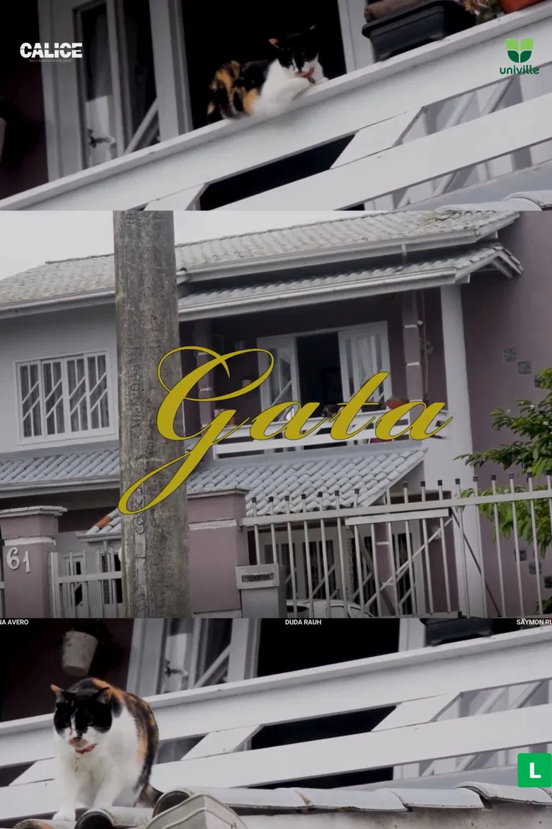 Gata poster background