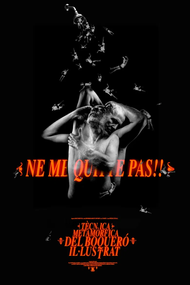 Tècnica Metamòrfica del Boqueró Il·lustrat poster background