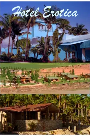 Hotel Erotica poster background