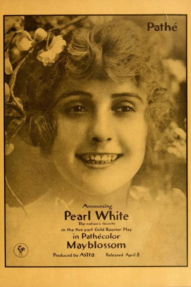 Mayblossom poster background