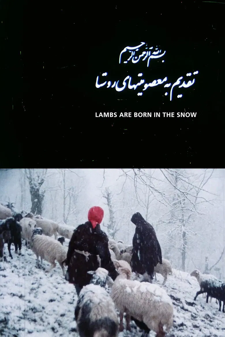 Lambs Are Born in the Snow poster background